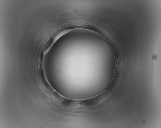 X0000113040597200908271508