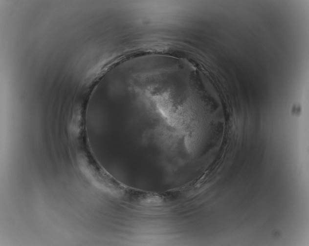 X0000113040600200908271507