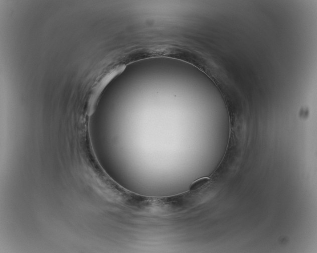 X0000113040601200908271507