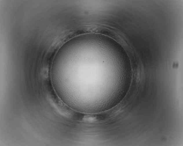 X0000113040602200908271507