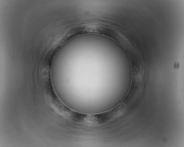 X0000113040603200908271507