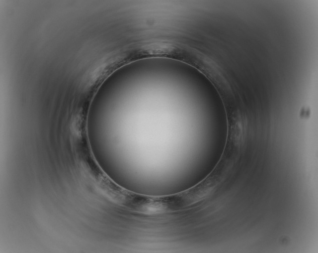 X0000113040604200908271507