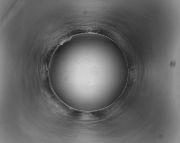X0000113040605200908271507