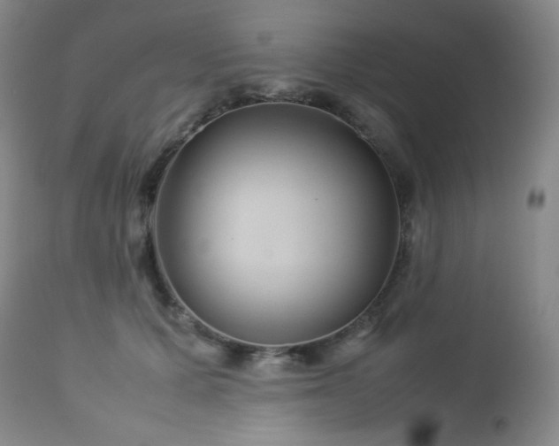 X0000113040607200908271507