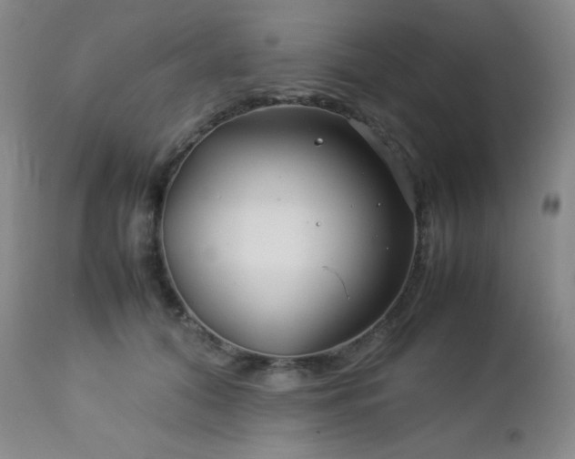 X0000113040608200908271507
