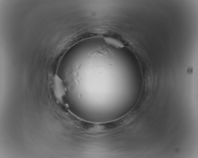 X0000113040609200908271507
