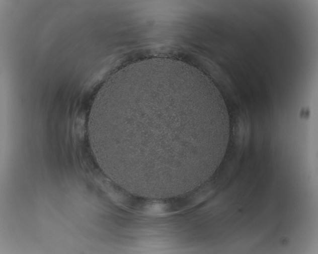 X0000113040610200908271507