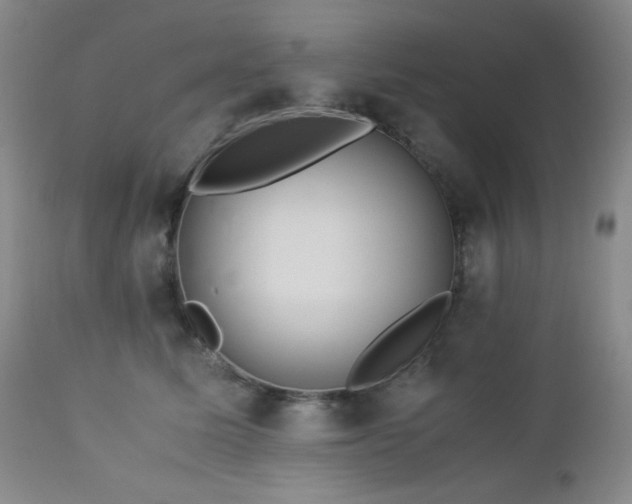 X0000113040611200908271507