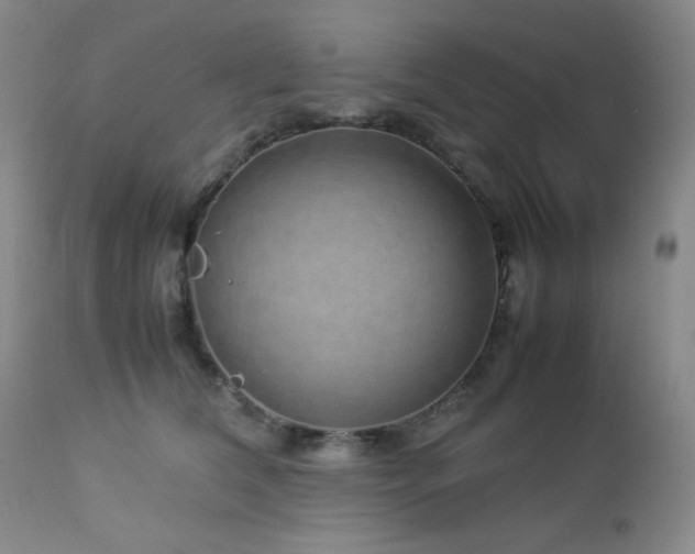 X0000113040612200908271507
