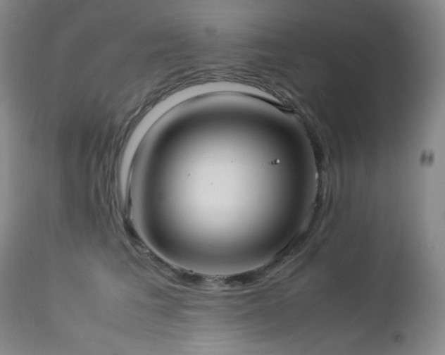 X0000113040613200908271507