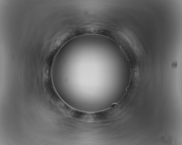 X0000113040615200908271507