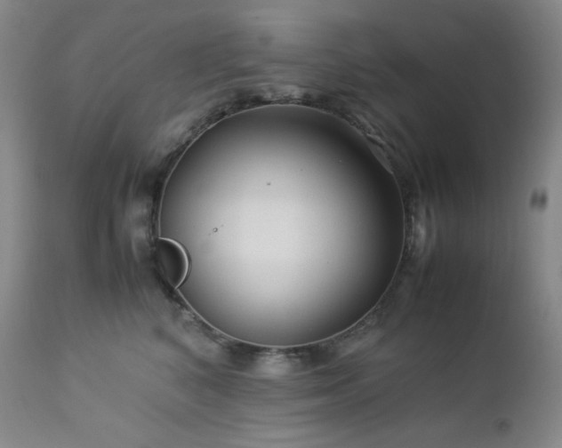 X0000113040616200908271507