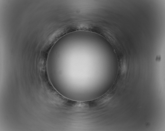 X0000113040619200908271507