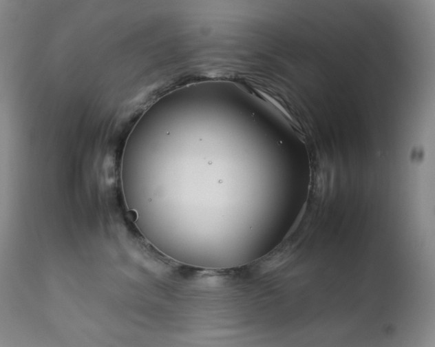 X0000113040620200908271507