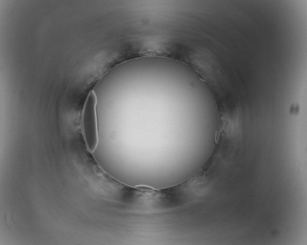 X0000113040621200908271507