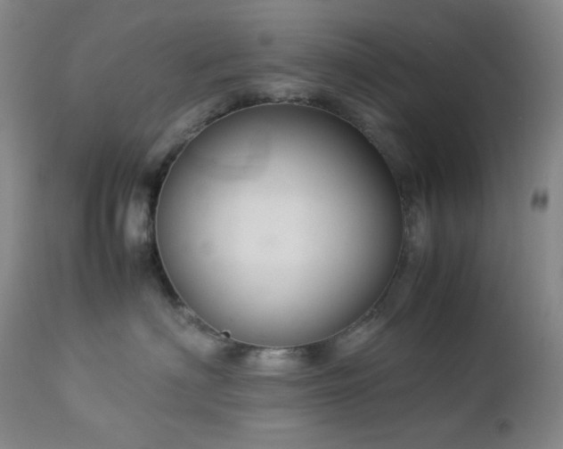 X0000113040622200908271507