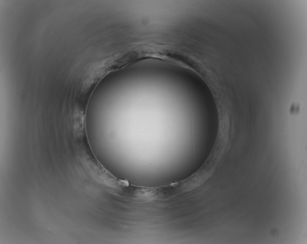 X0000113040624200908271507