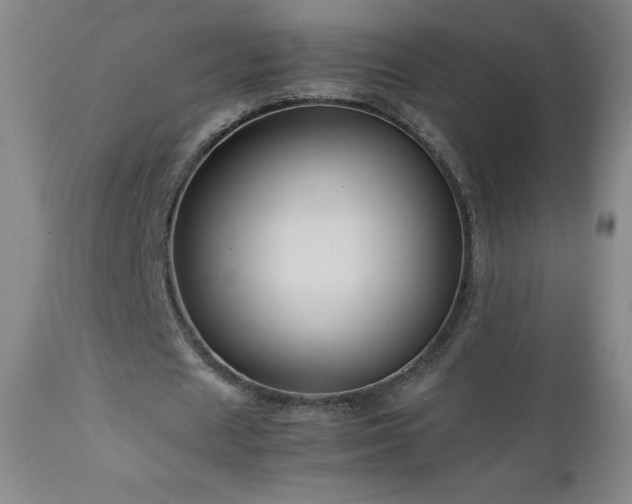 X0000113040625200908271506
