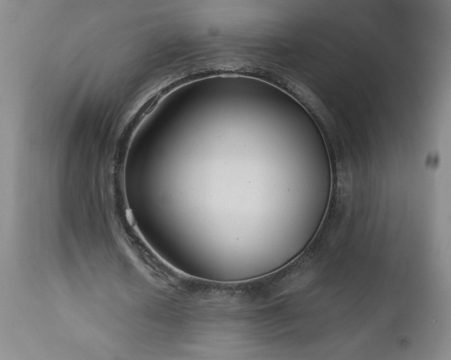 X0000113040626200908271506
