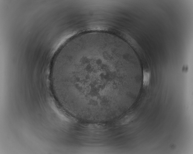 X0000113040627200908271506