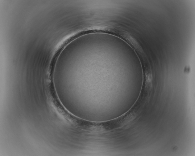 X0000113040628200908271506