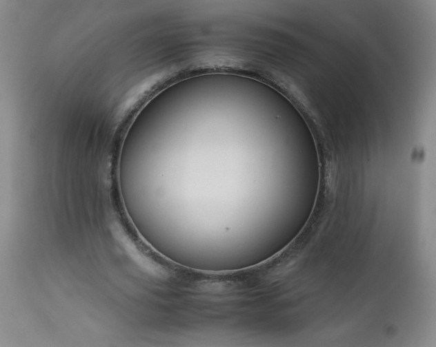 X0000113040629200908271506