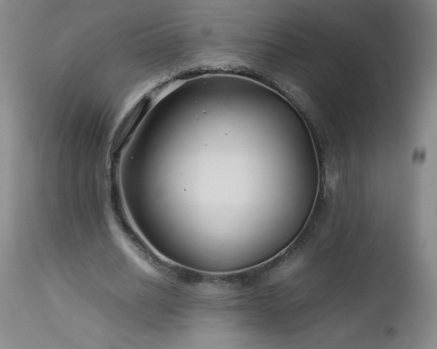 X0000113040630200908271506