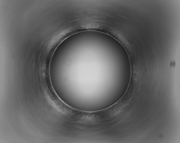 X0000113040631200908271506