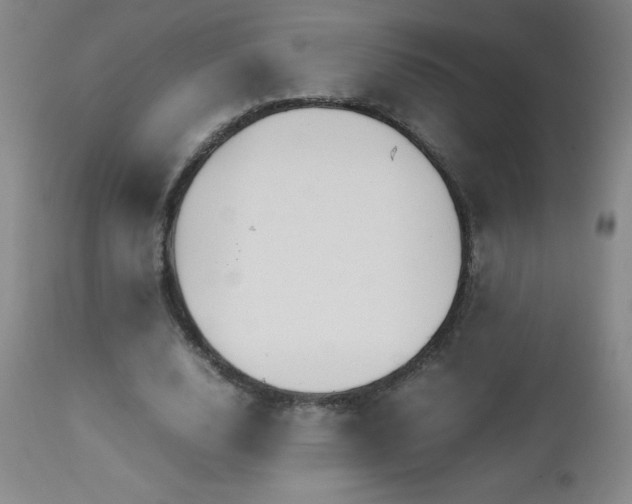 X0000113040632200908271507