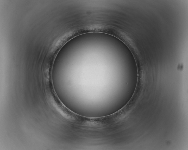 X0000113040633200908271507