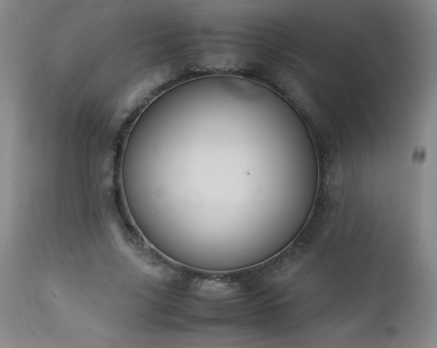 X0000113040635200908271507
