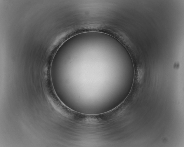 X0000113040636200908271507