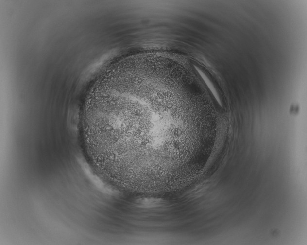 X0000113040637200908271507