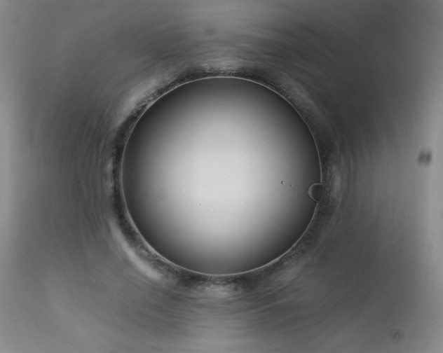 X0000113040638200908271507