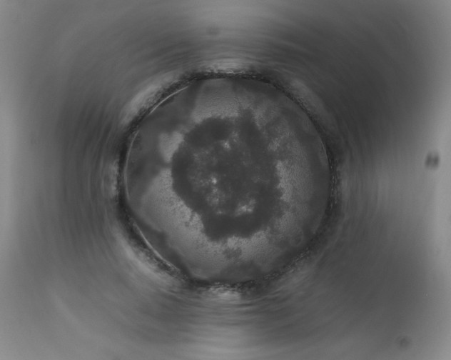 X0000113040640200908271507