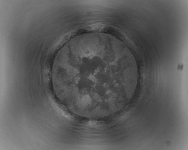 X0000113040641200908271507