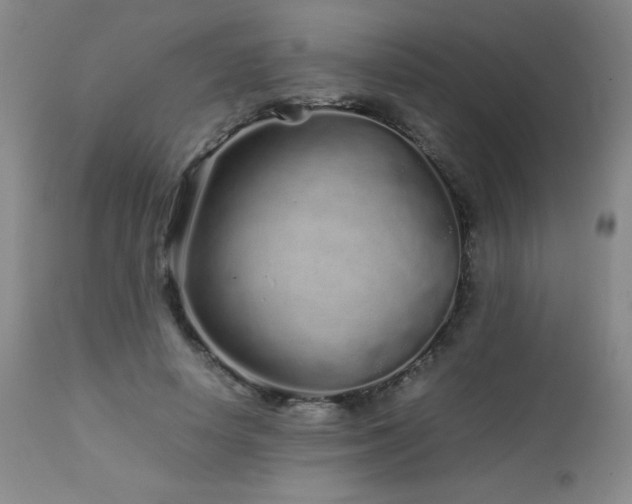 X0000113040642200908271507