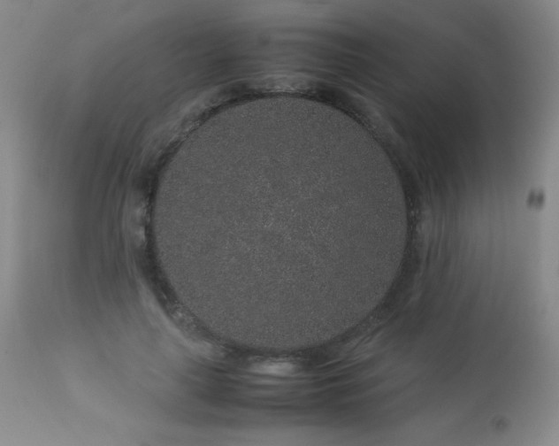 X0000113040643200908271507