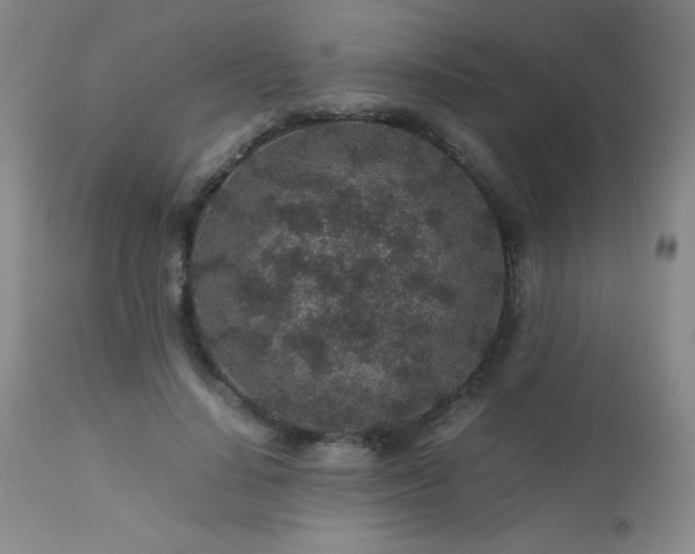 X0000113040644200908271507
