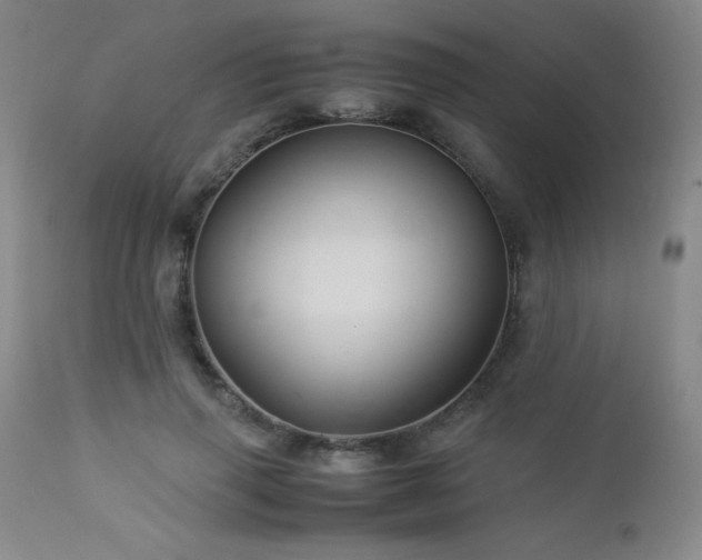 X0000113040645200908271507