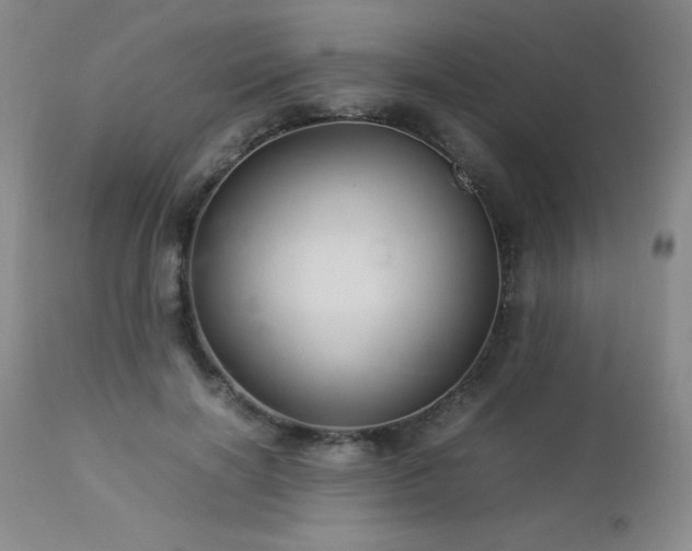 X0000113040646200908271507