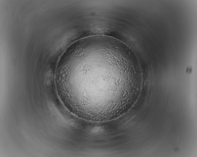 X0000113040647200908271507