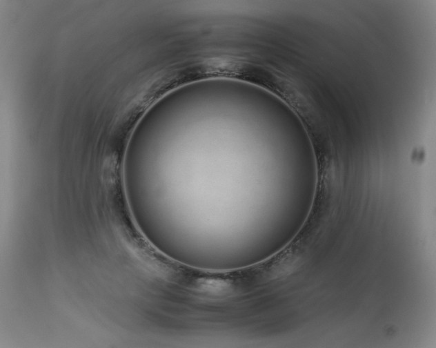 X0000113040649200908271507