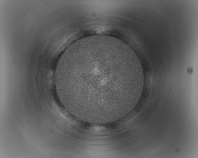 X0000113040650200908271507