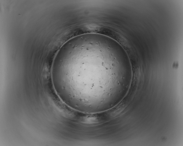 X0000113040651200908271507