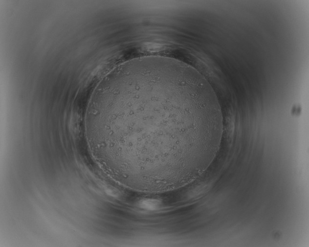X0000113040653200908271507