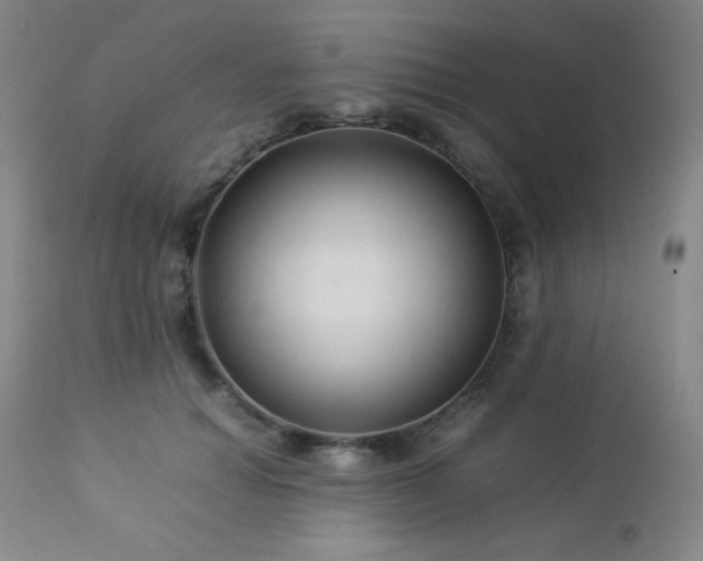 X0000113040654200908271507