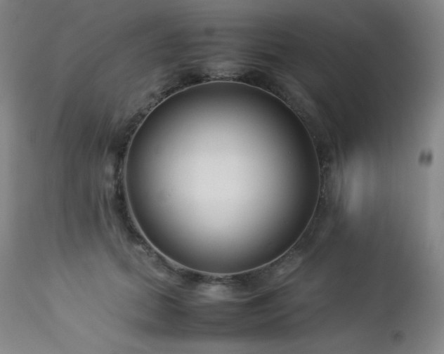 X0000113040655200908271507