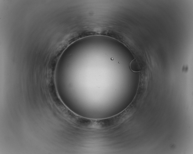 X0000113040656200908271507