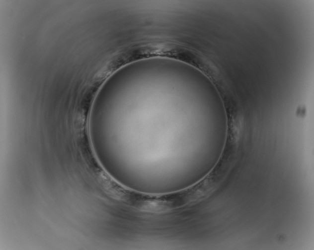 X0000113040657200908271507